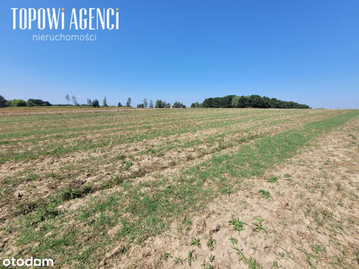 Działka nad rzeką,Park Kampinoski warunki zabudowy-17