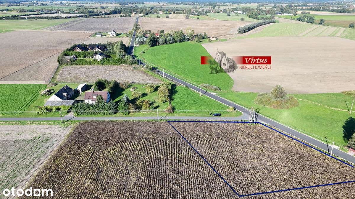 Działka budowlana w Berkowie gmina Kiszkowo - Pełny obrazek: 3/7