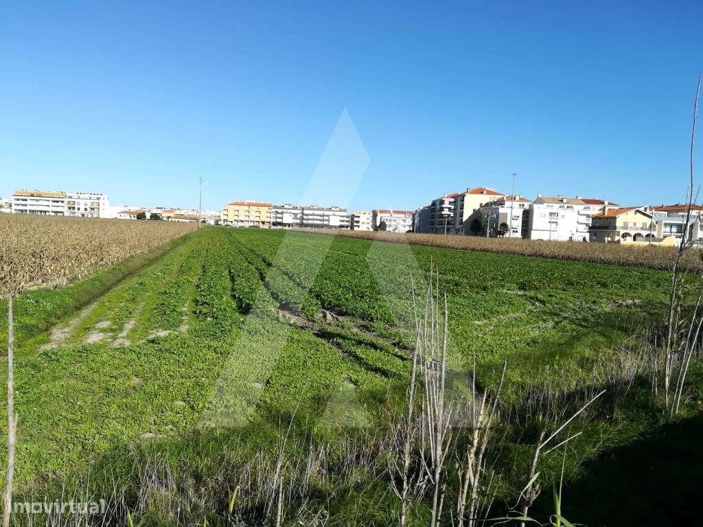 Terreno para construção na Praia da Vagueira - Grande imagem: 5/10