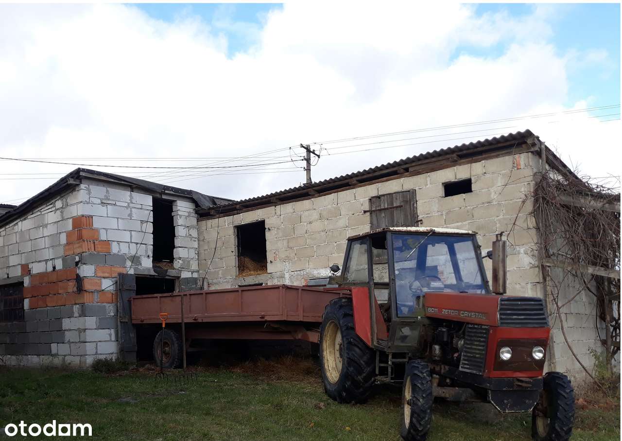 DOM gospodarstwo do wynajęcia 9000 m działka - Pełny obrazek: 5/9