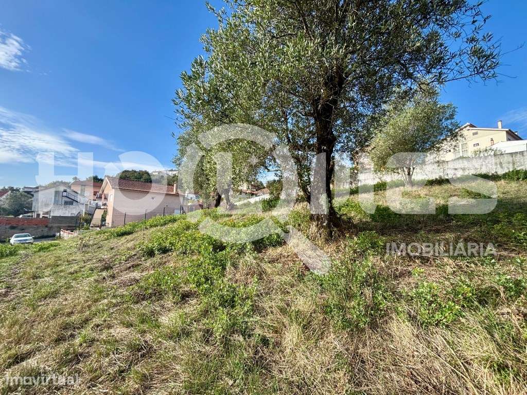 Terreno | Urbano | Excelentes Acessos | Vistas Panorâmicas-26