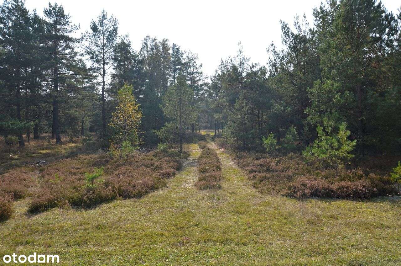 Działka budowlana w Borsku nad jeziorem Wdzydze - Pełny obrazek: 4/10