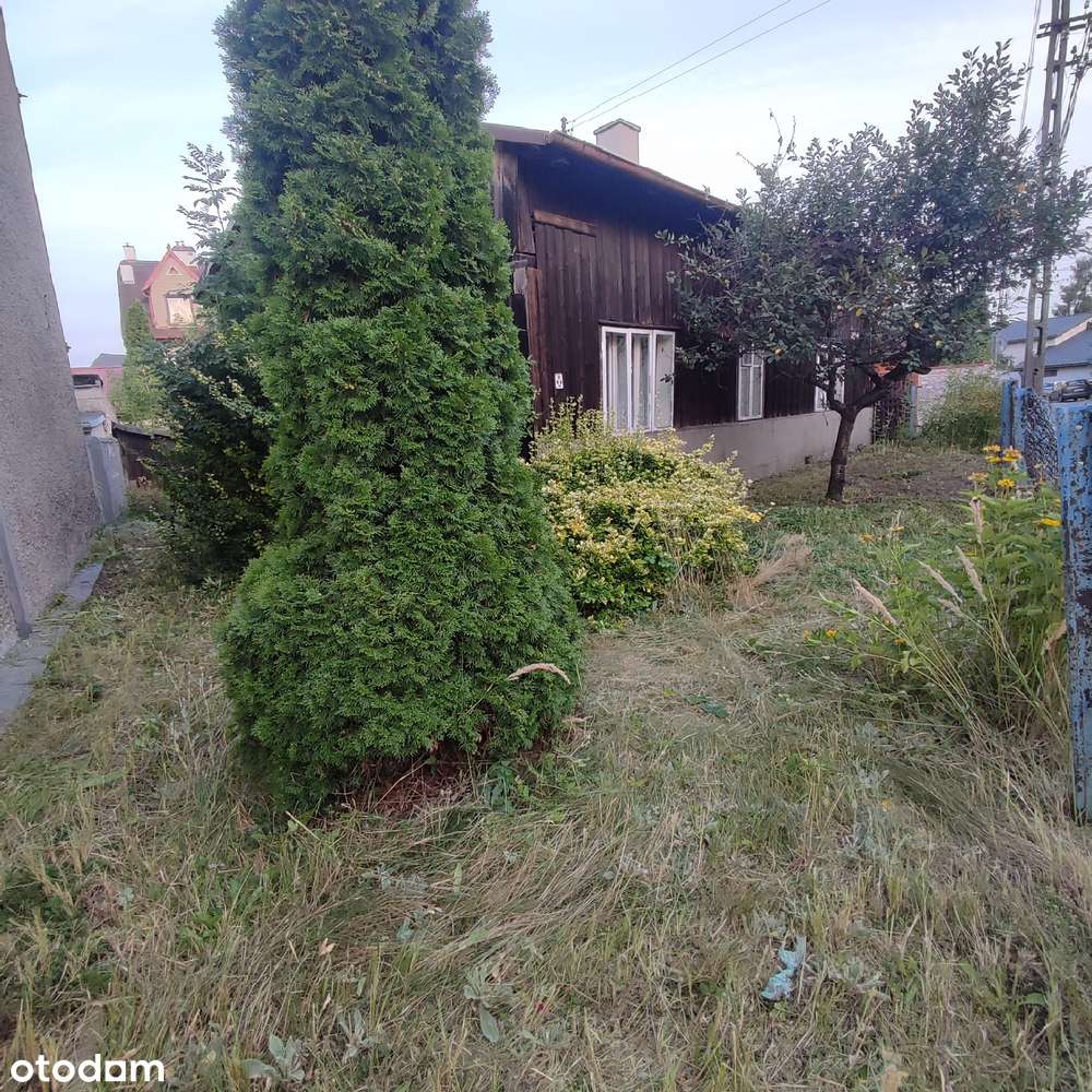 Działka/ dom z potencjałem/ oferta bezpośrednia - Pełny obrazek: 5/14