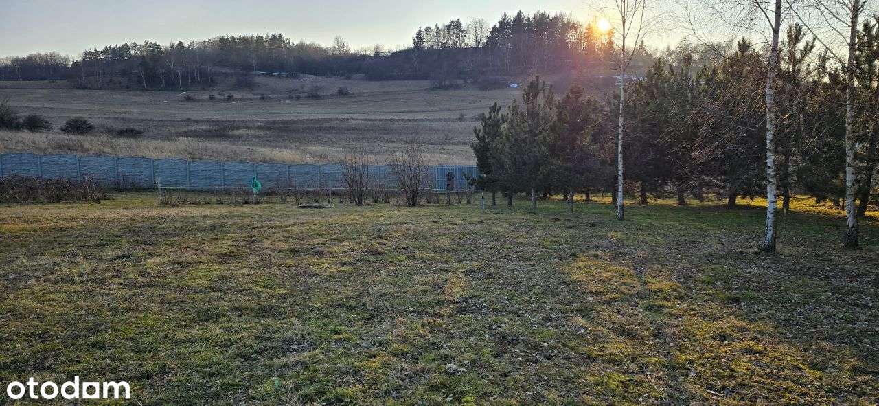 Działka budowlana - Dzikowiec - Pełny obrazek: 5/9