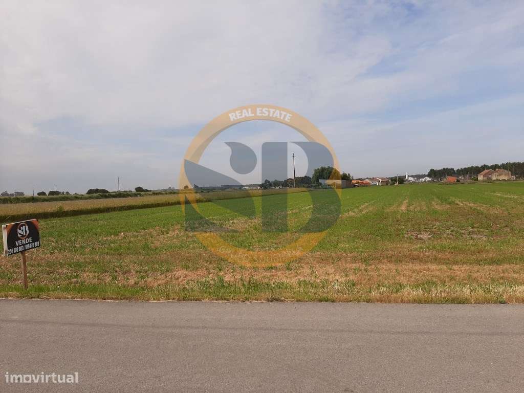 Terreno em Ovar - Grande imagem: 3/11