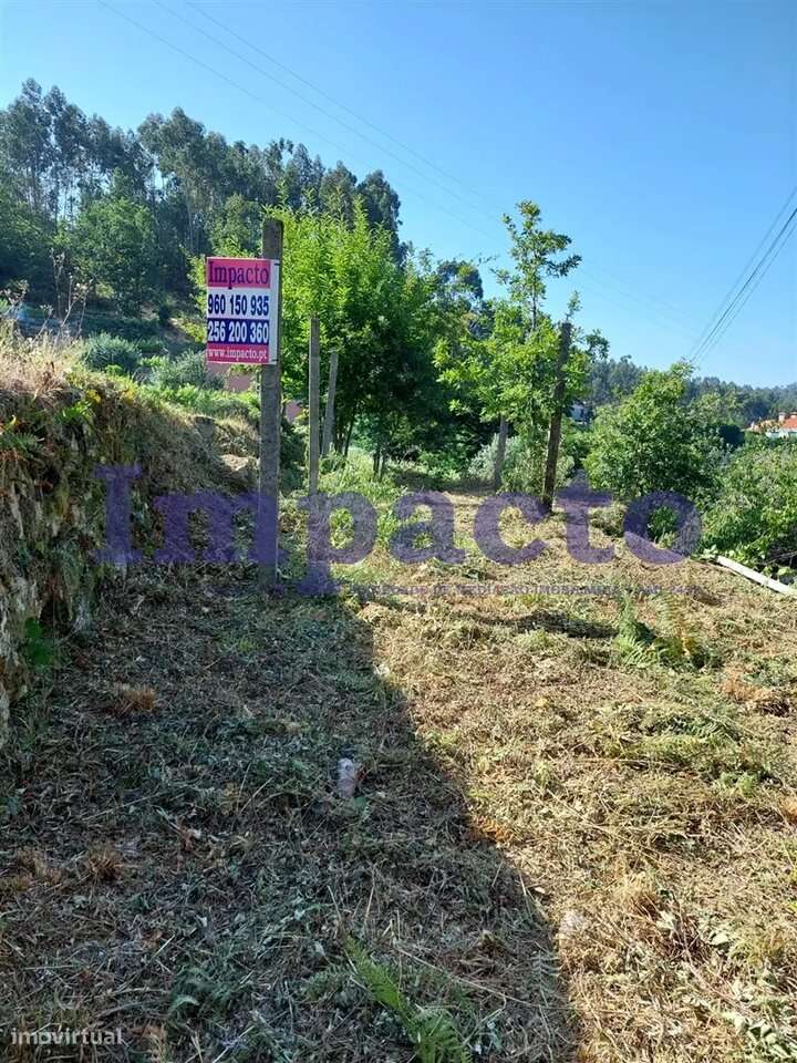 Moradia para Restaurar T1, Vale de Cambra-5
