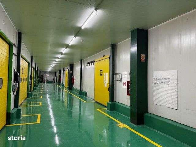 Hala frigorifica moderna cu birouri, de vanzare-3