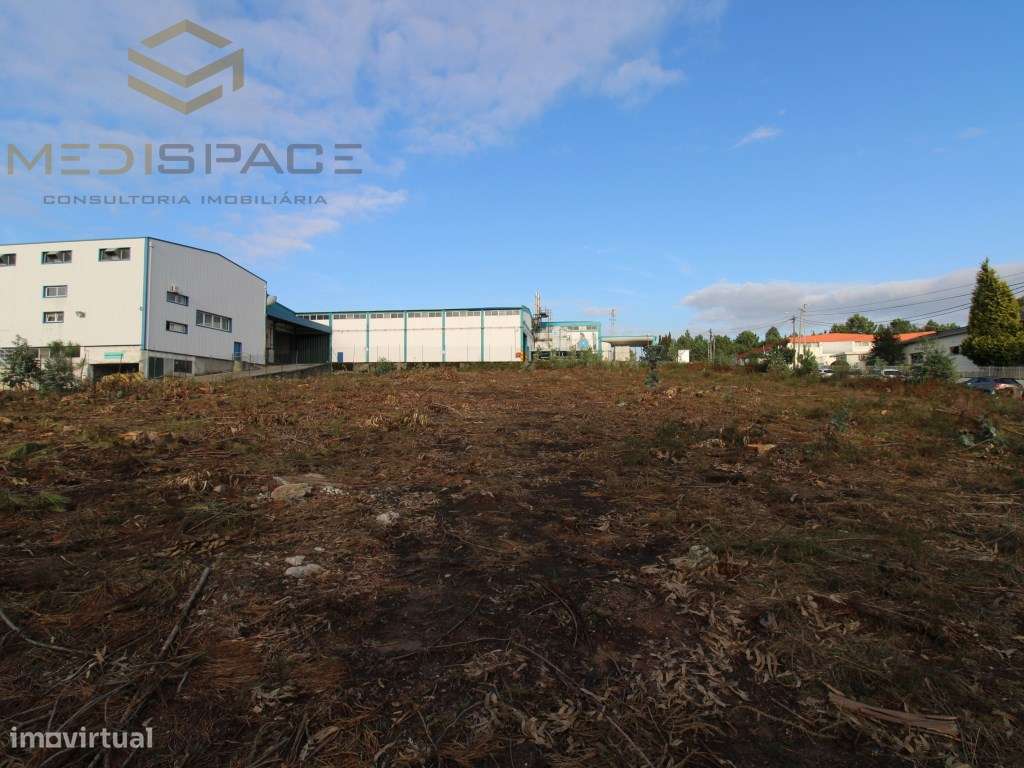 Terreno Industrial em Gaia , Avintes ( Fábrica Barbosa e Almeida)-16