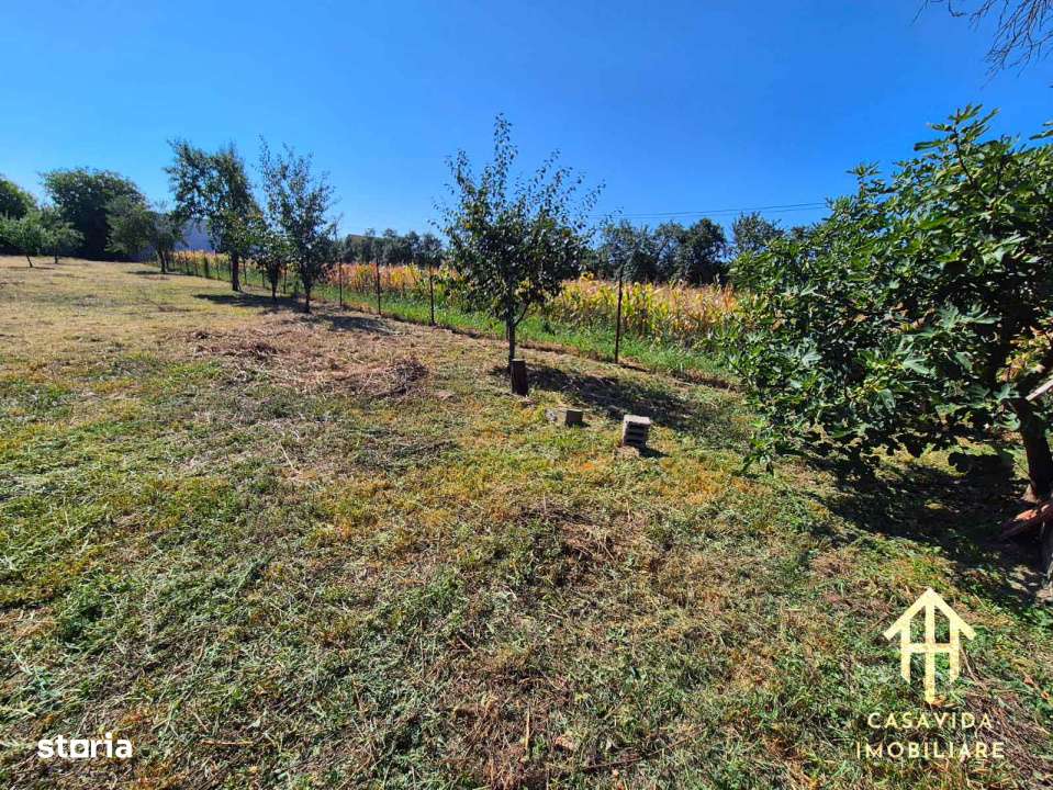 Casa cu teren generos in Lugojel, judetul Timis - Imagine principală: 2/8