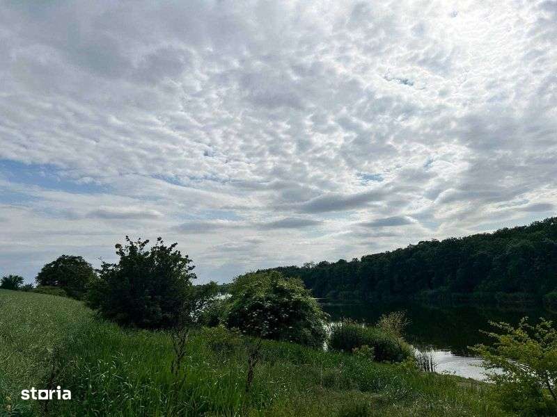Teren 50000 m.p., 5 Ha, lac Caldarusani, 7 €/m.p. - Imagine principală: 4/8