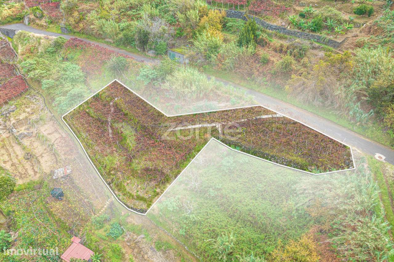 Refúgio perfeito com uma área de 1253 m2 em São Vicente - Grande imagem: 4/18