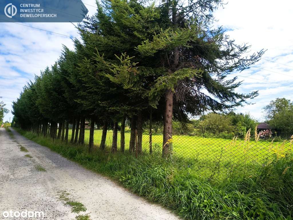 Działka budowlana 8 a w dzielnicy Miłocin - Pełny obrazek: 5/6