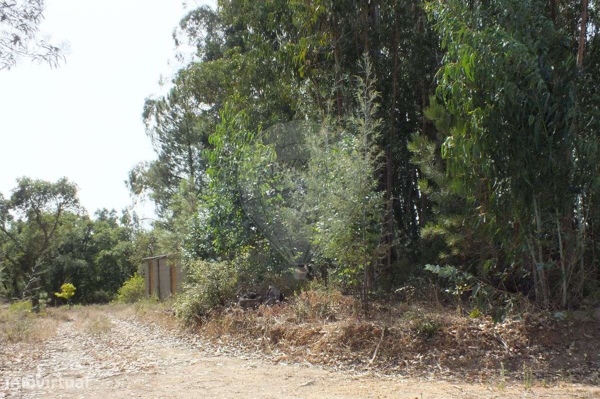 Terreno  para venda - Grande imagem: 4/17