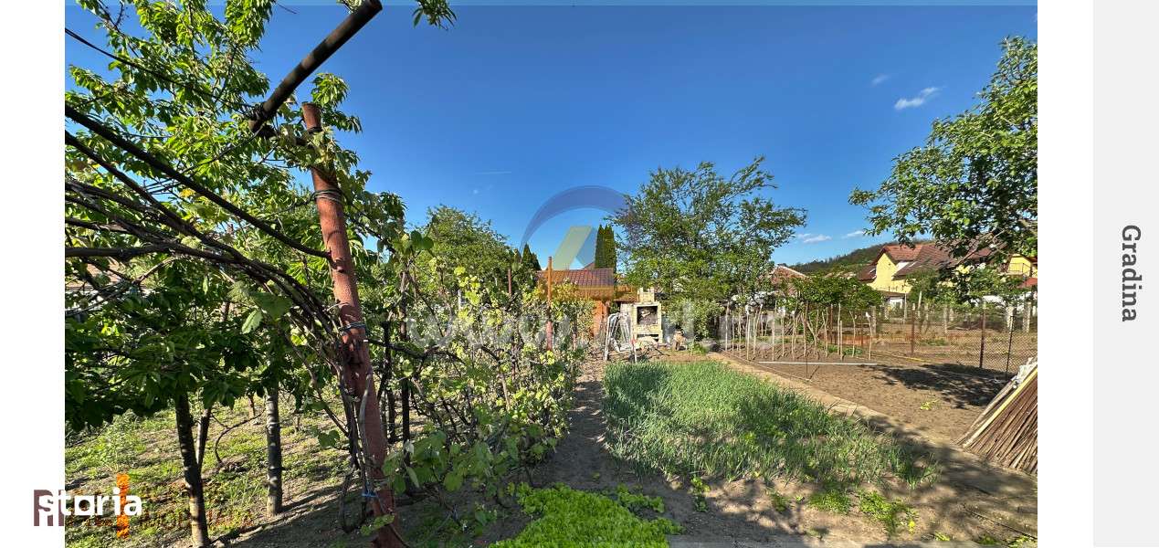 Casa cu Potential Comercial, teren 792 mp - Imagine principală: 5/5