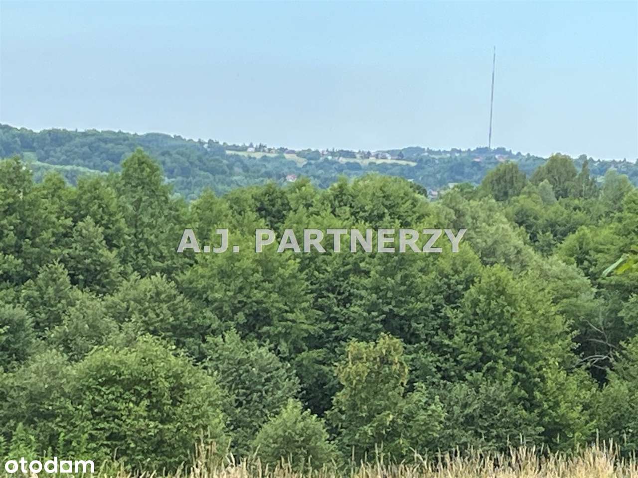 Działka budowlana z mediami w Golkowicach-1