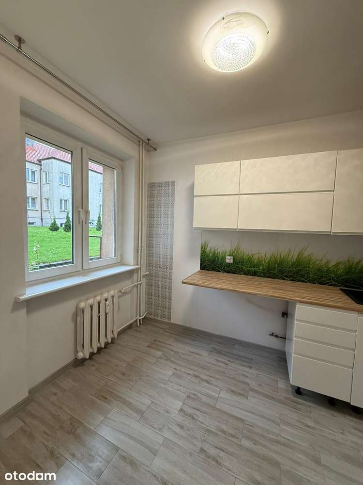 2pokoje/Parter/46.99m/sieć miejska/0%prowizji - Pełny obrazek: 3/9