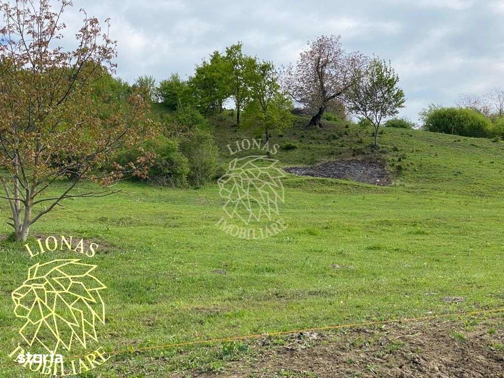 Teren Extravilan - Ghinda - 3.5000mp-Parcelabil - Imagine principală: 4/7