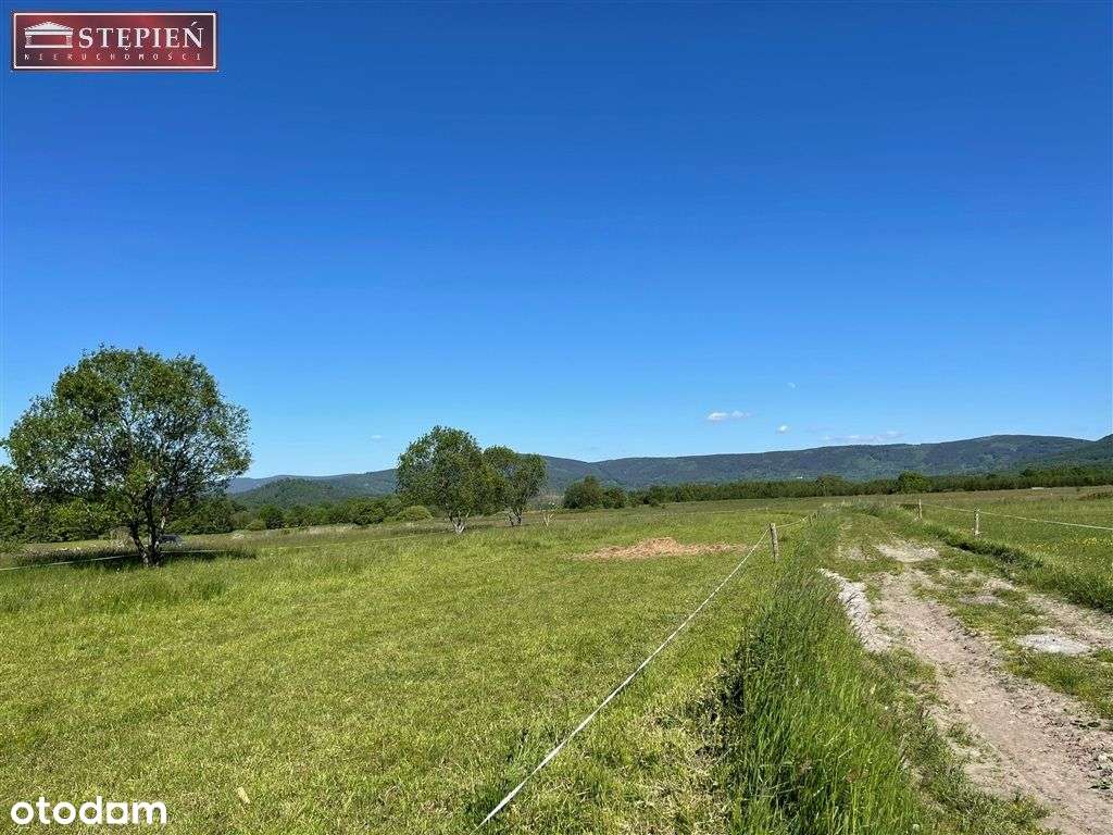 Widokowa działka od strony południowej - Pełny obrazek: 5/10