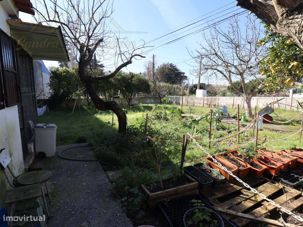 Moradia T3 com PISCINA e terreno com 1200m2-30