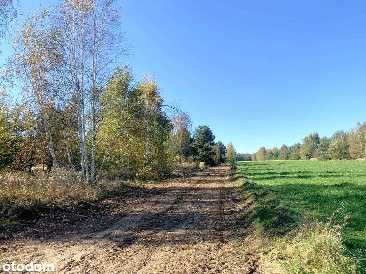 Działka budowlana na sprzedaż Kałek - Pełny obrazek: 4/8