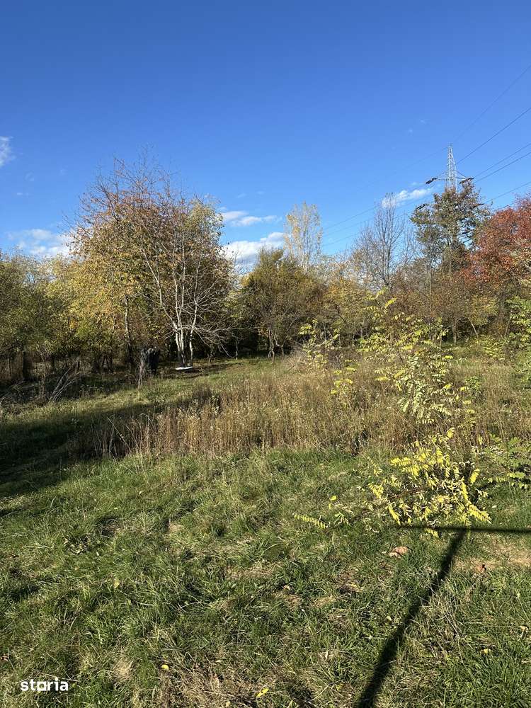 Campina - casă - teren 2506mp - 149900 Euro/Neg.-9