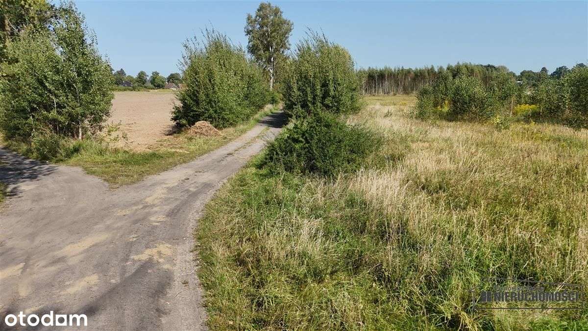 Bielikowo - działka na raty - około 20 minut od Ba-12