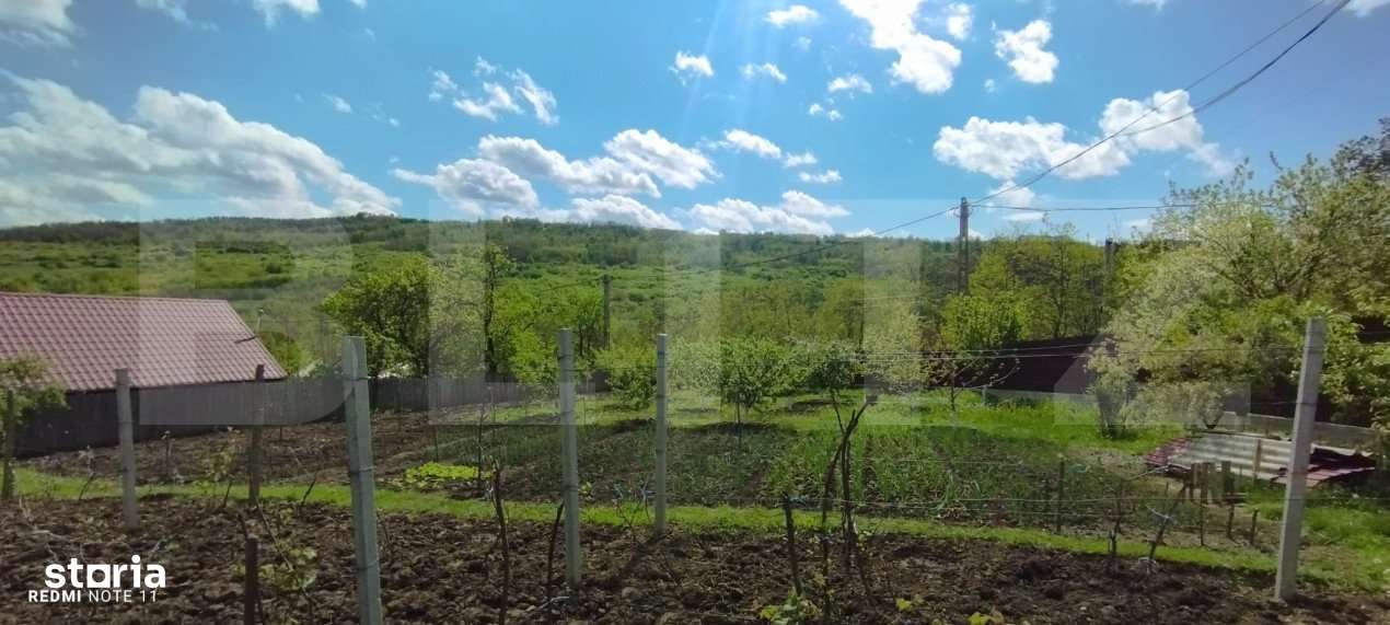 Casa+ casa vacanta, 2200 mp livada, Schitu-Duca - Imagine principală: 4/12