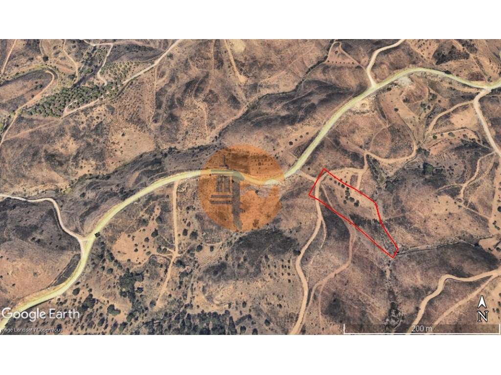 Terreno Rustico com plantação de alfarrobeiras-13