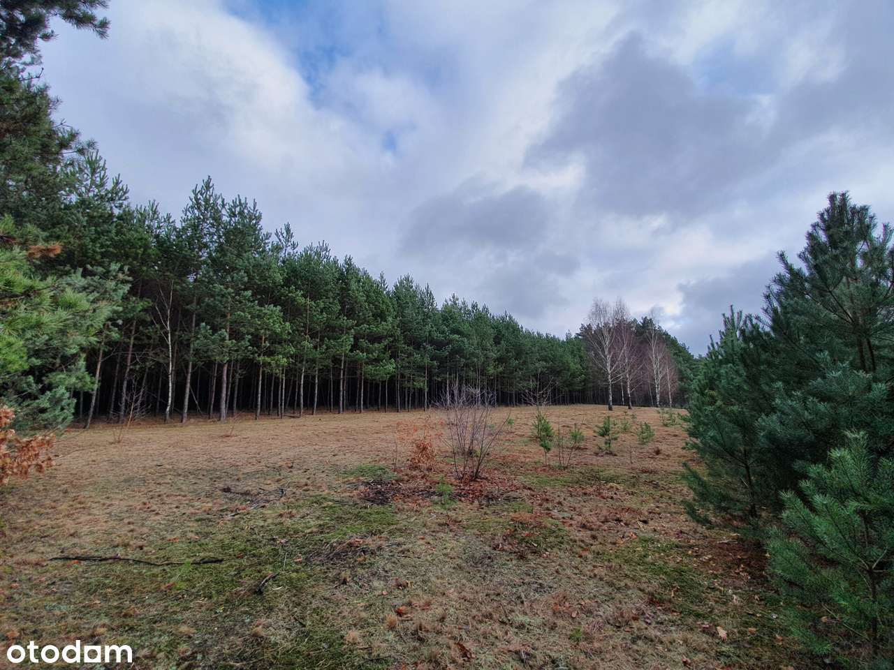 Działka z pozw. na budowę, projekt Inovia, j. Białe-7