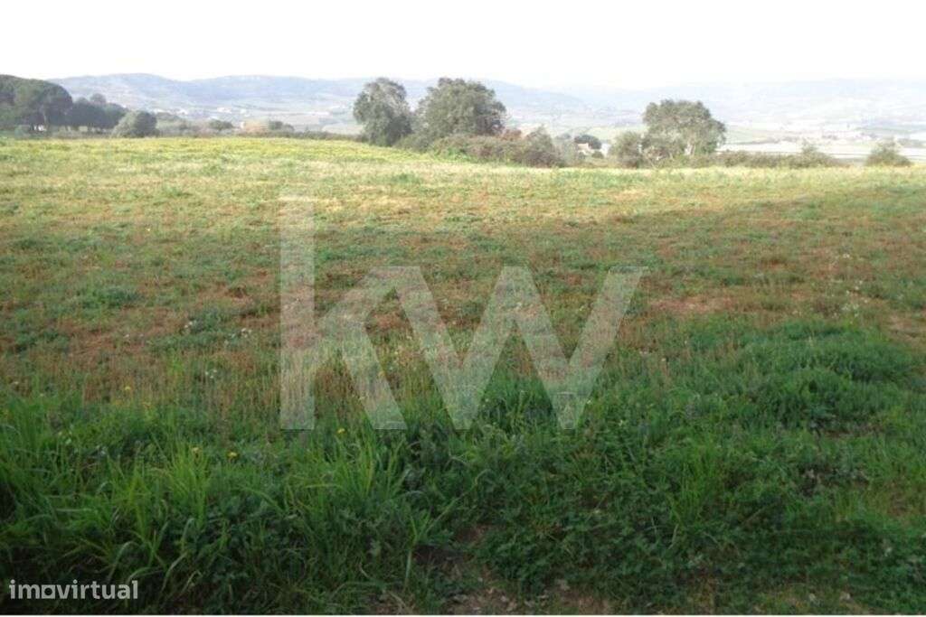 Terreno para Venda em Arruda dos Vinhos - Grande imagem: 2/13