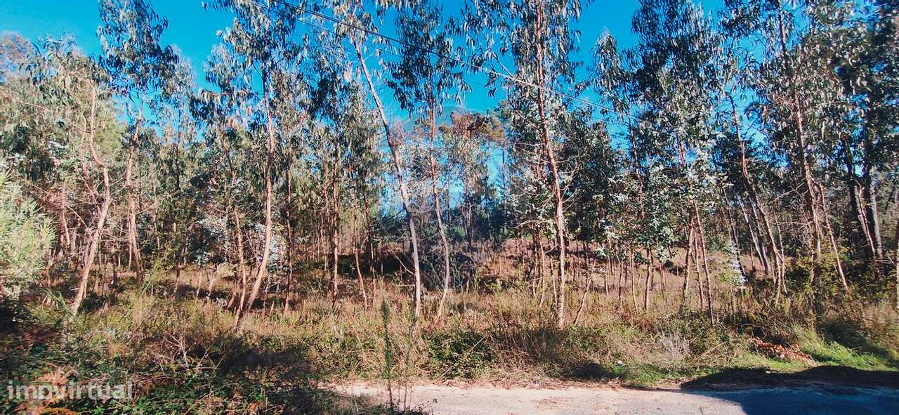 Terreno  para venda - Grande imagem: 4/5