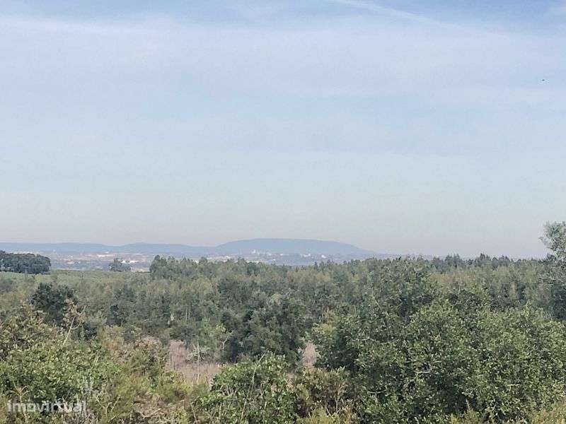 Quinta rustica 4320 m , com moardia t3 c permissao para finalizar obra - Grande imagem: 5/11