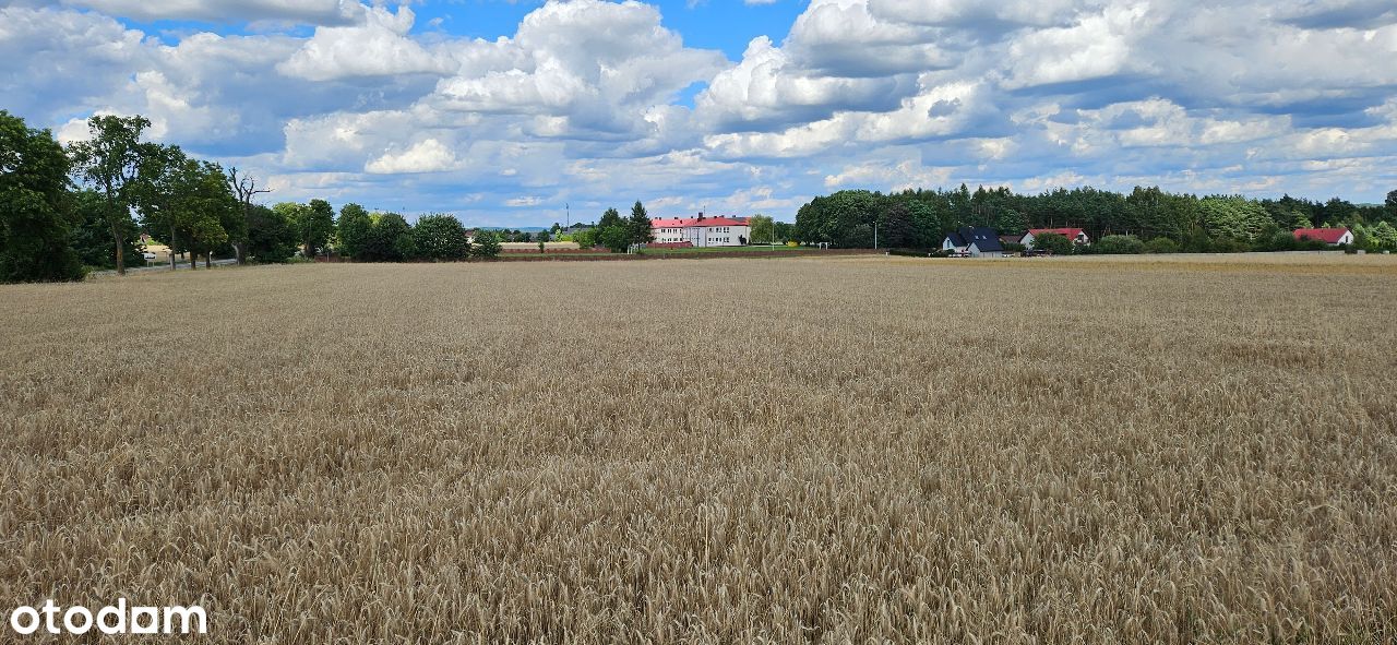 Miąsowa k. szkoły, działki BUDOWLANE, bezpośrednio