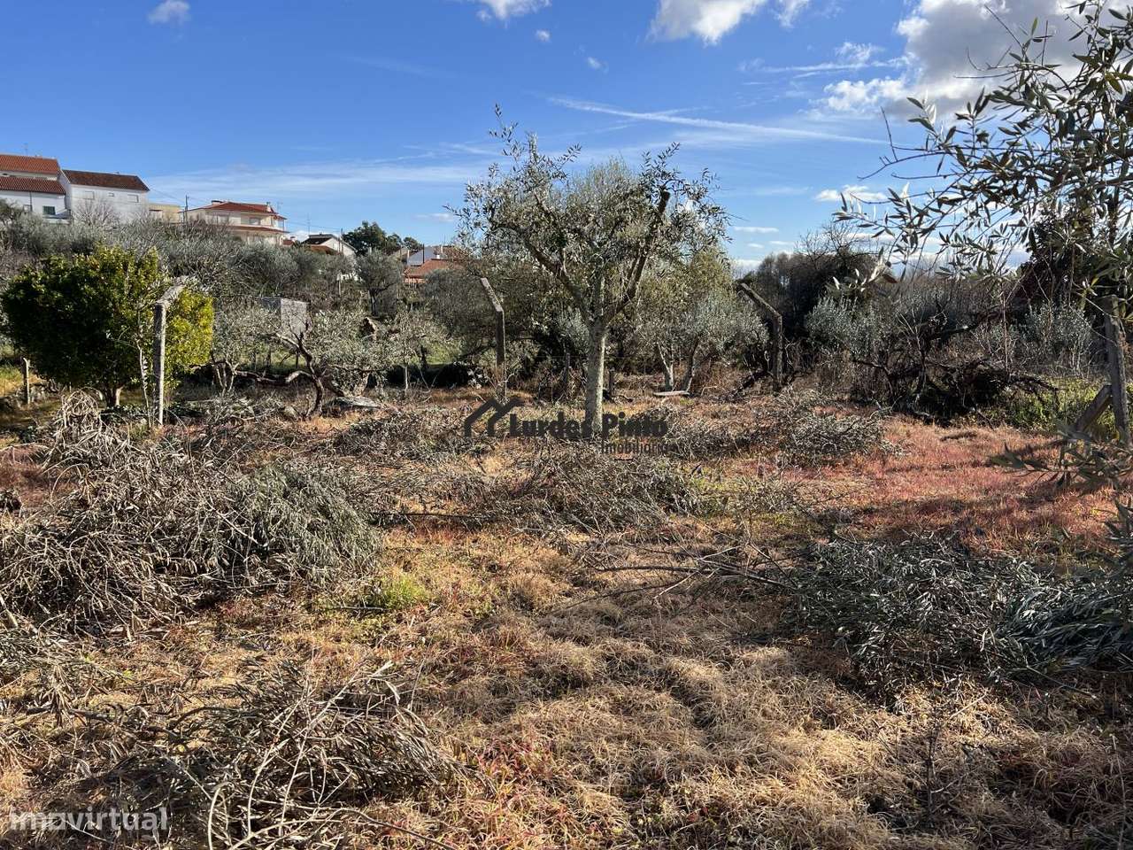 Quinta com arrecadação - Grande imagem: 5/12