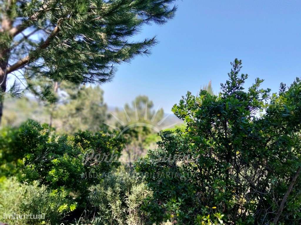 Terreno Serra de Grândola - Grande imagem: 5/5