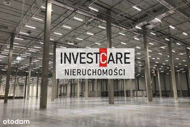 Katowice 1700 mkw Nowy - Pełny obrazek: 4/4