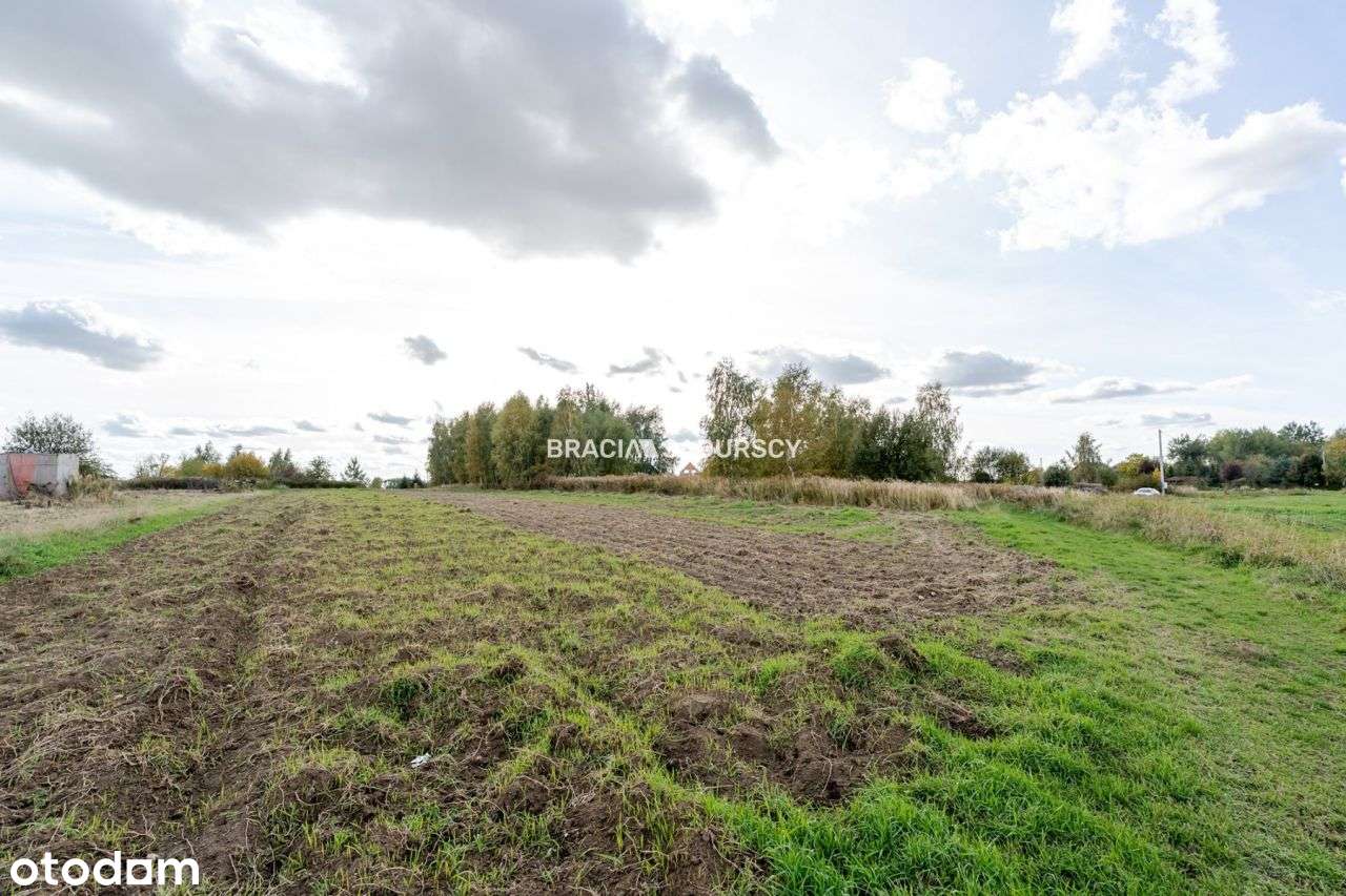 Działka budowlana / 25 ar / płaska / Cholerzyn - Pełny obrazek: 4/7