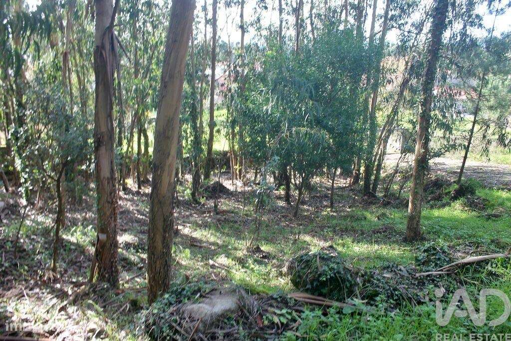 Terreno para construção em Esposende, Marinhas e Gandra - Grande imagem: 5/23