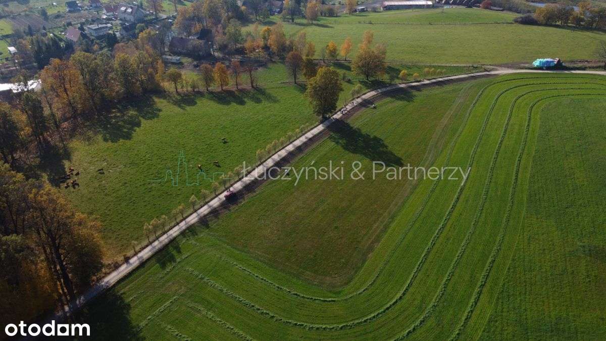 Świetna działka w Janowicach Wielkich!-2