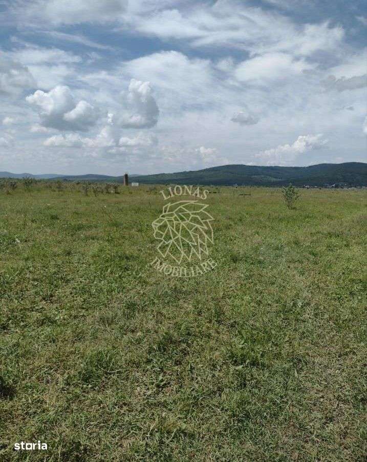 Teren 23700 mp (2,37 ha)-ideal investitie,cabana-Sesul Jelnei - Imagine principală: 4/4