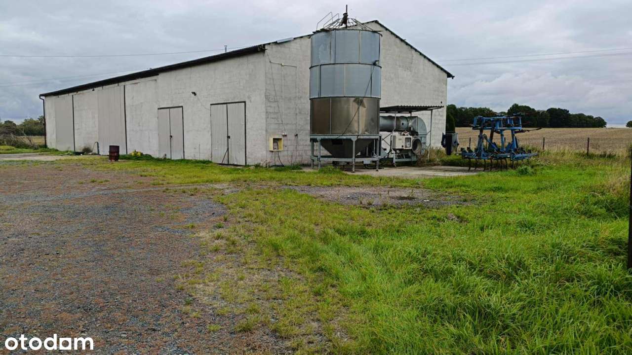 Dom w budowie z halą gospodarcza - Pełny obrazek: 5/10