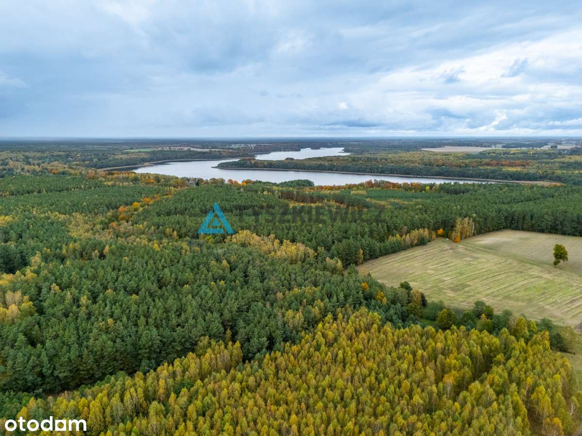 Działka przy Dk25/ stacja paliw, handel, gastronom - Pełny obrazek: 4/20