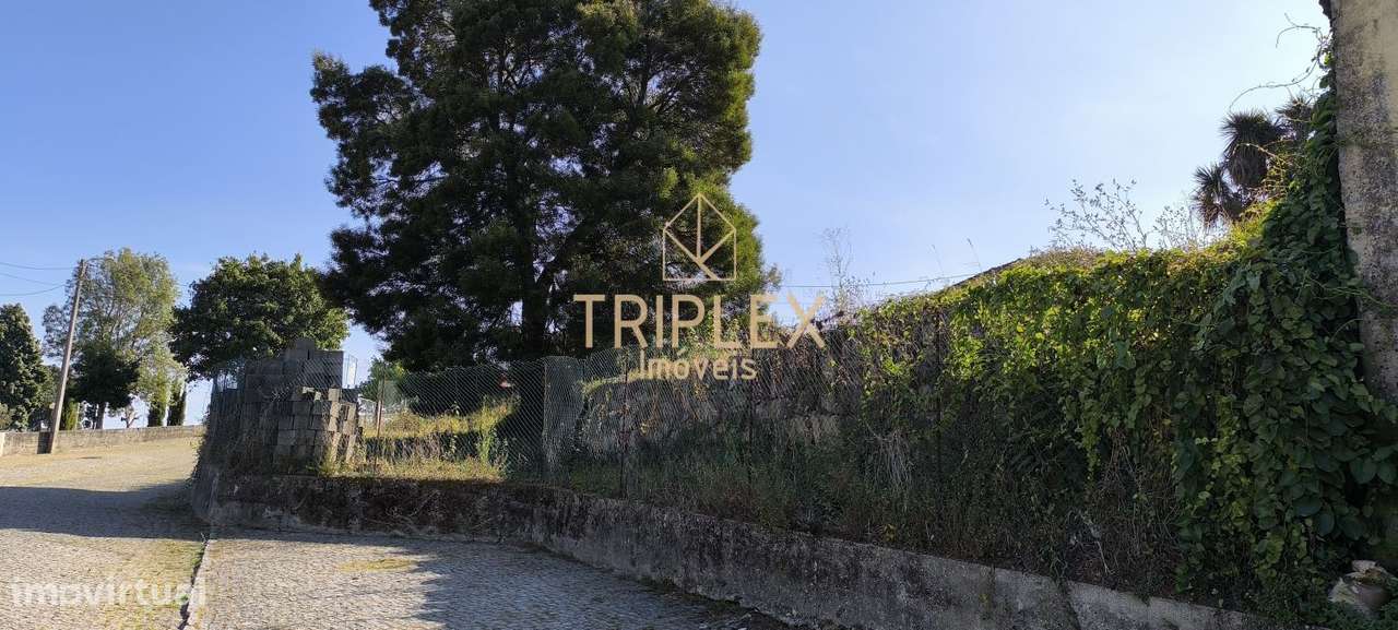 Casa com 3 inquilinos e Terreno -  Monte Sta Cruz-10