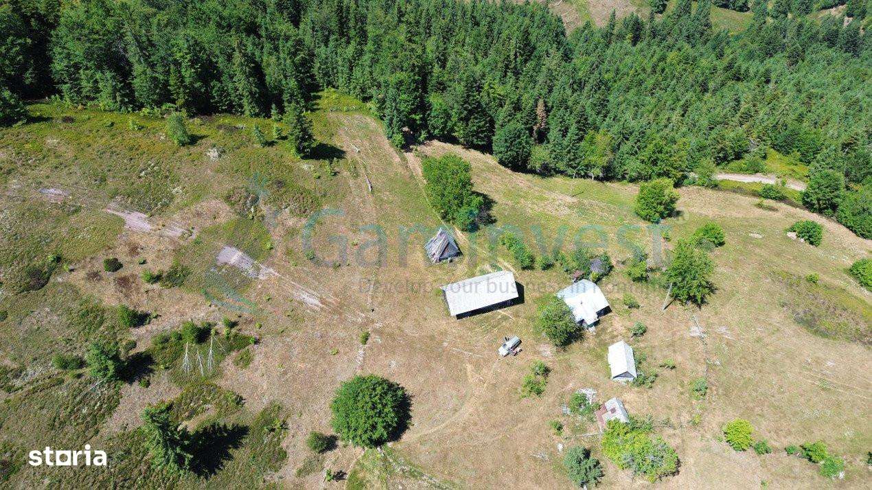 Gaminvest Teren pentru investitie,cu acces la utilitati,Arieseni V3917 - Imagine principală: 5/8