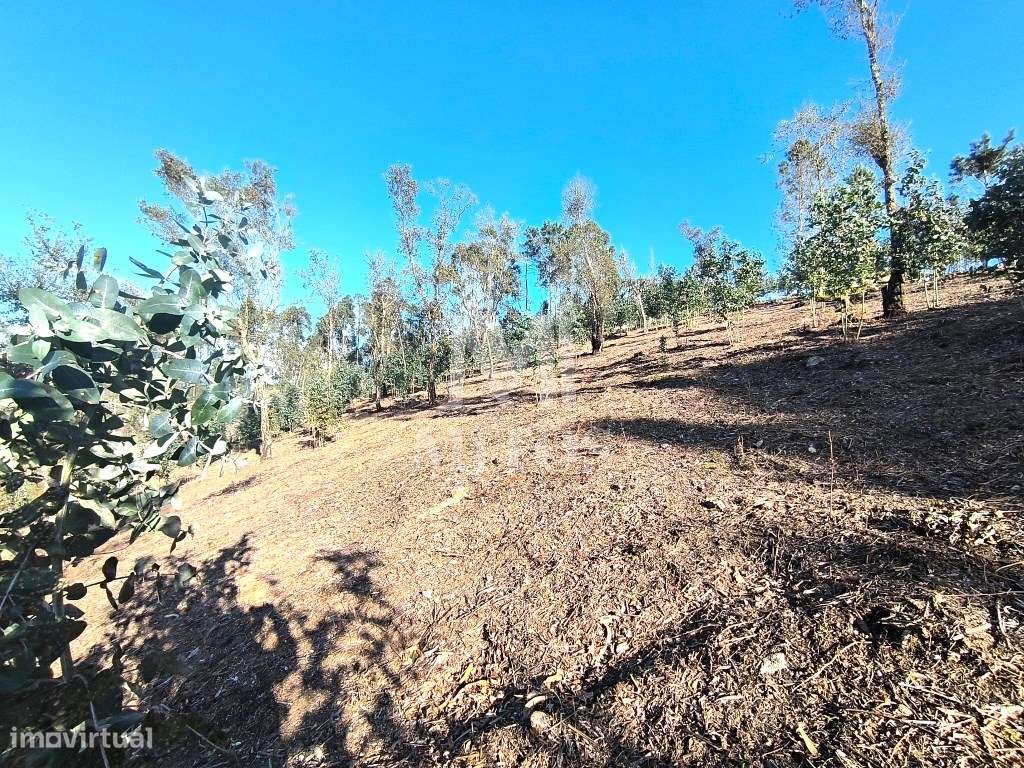 Terreno de construção - Grande imagem: 4/11