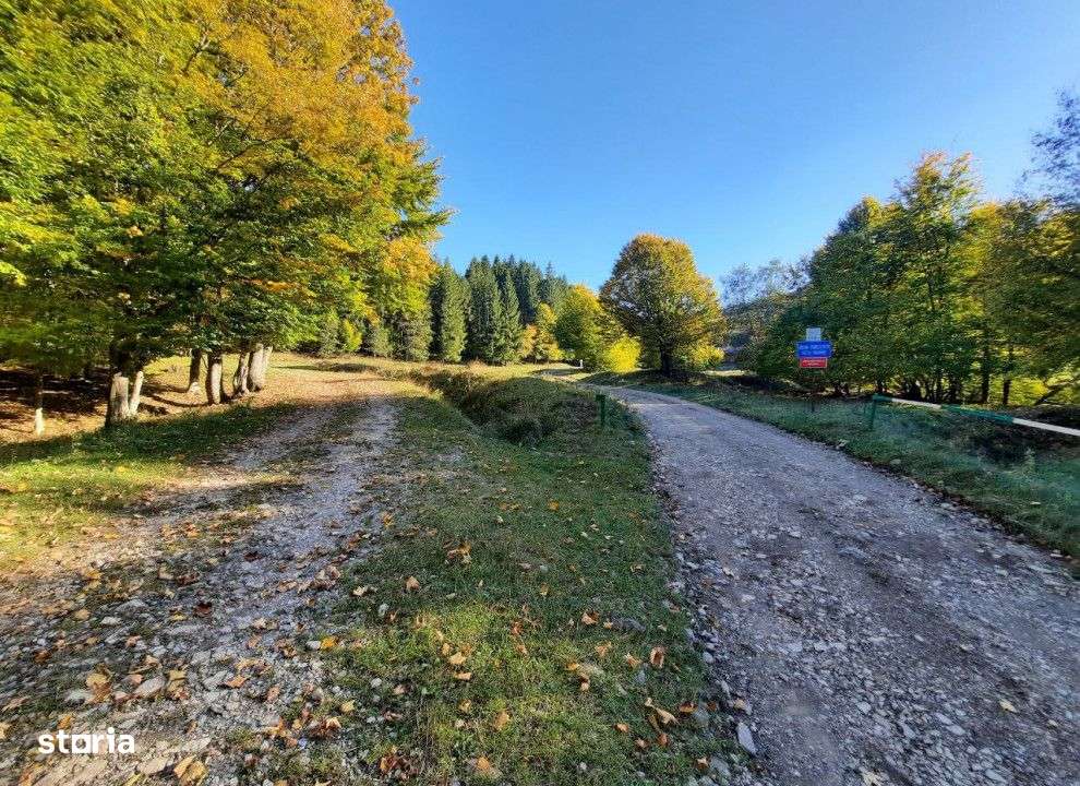 Teren extravilan , 7160 metri Cod:160785 - Imagine principală: 5/5