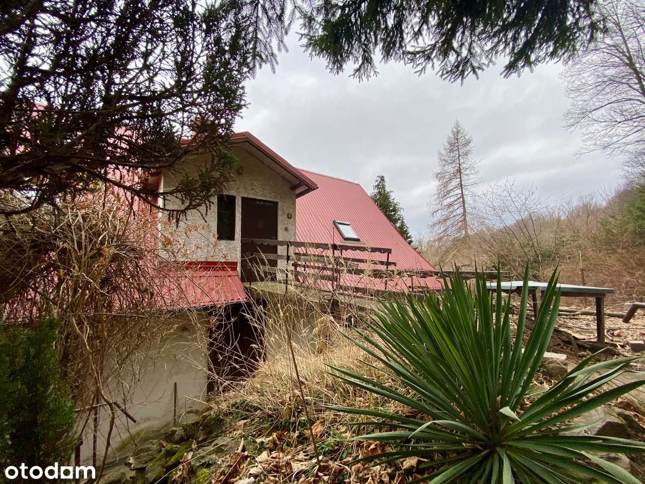 Uroczysko_dla rodziny_agroturystyka_mtb_góry_działka 2 ha-12