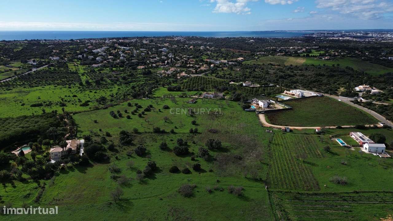 Propriedade com Ruína e Projeto Aprovado para Moradia Unifamiliar – Op - Grande imagem: 3/20