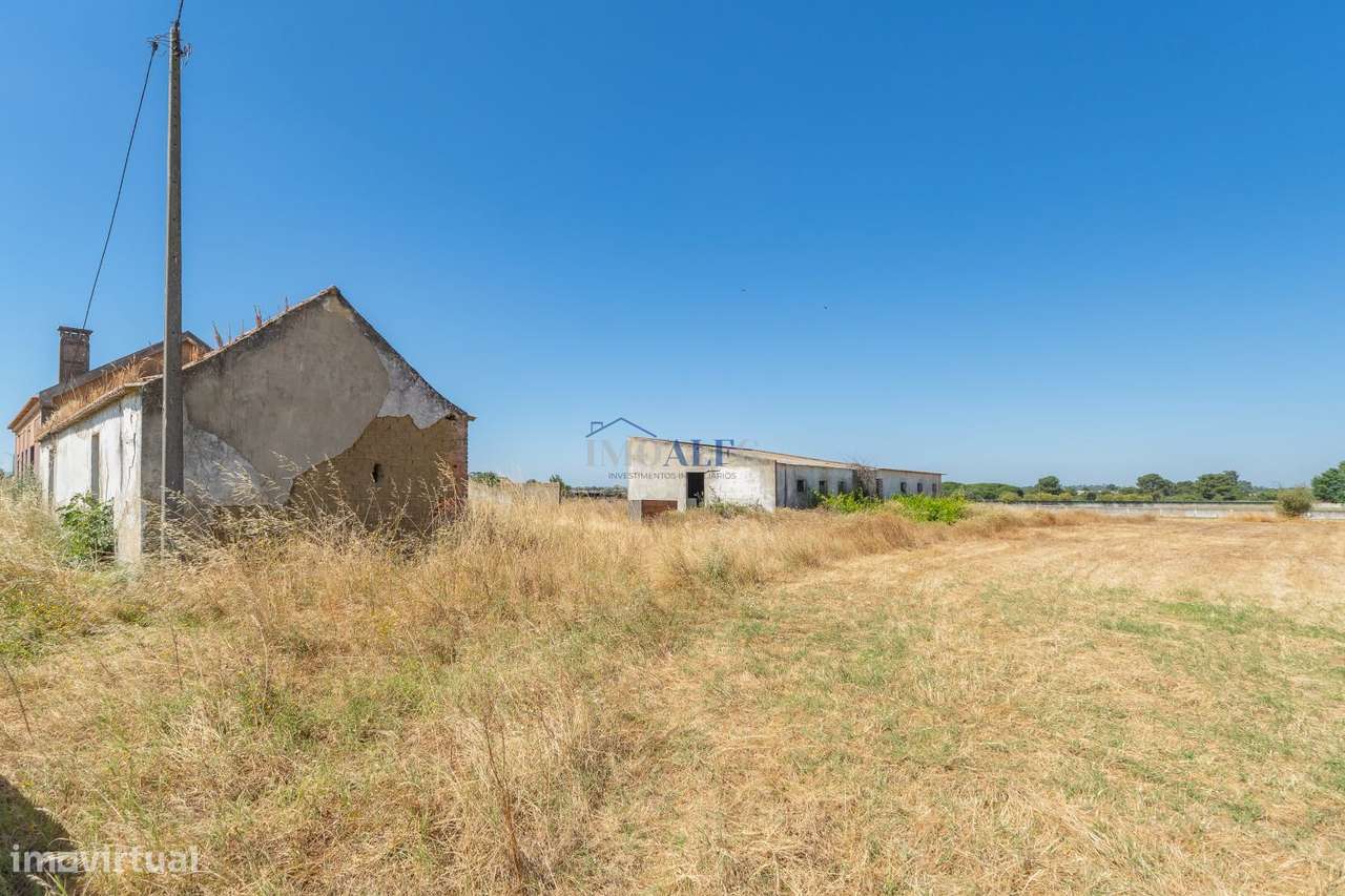 Terreno com 35000 m2 e moradia para reconstruir no Montijo-16