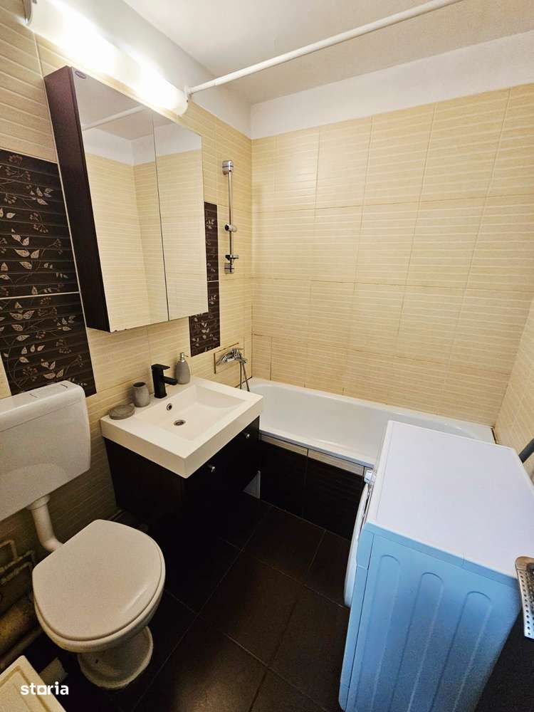 garsoniera iancului-8